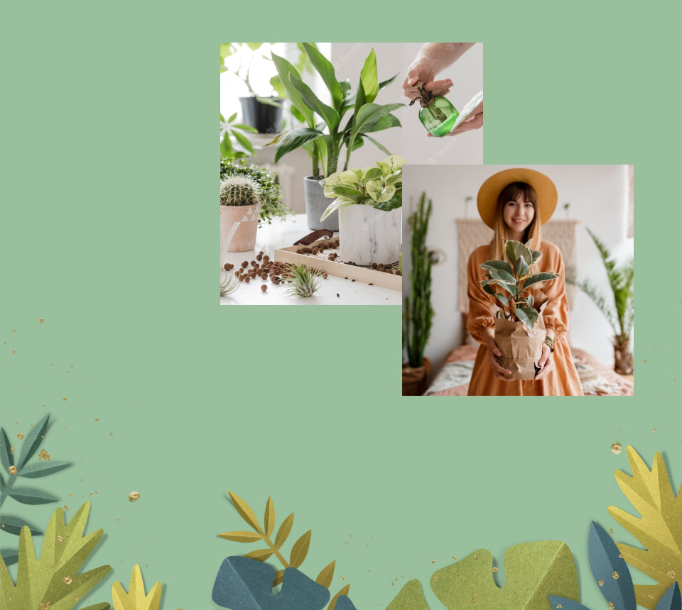 For All Plants